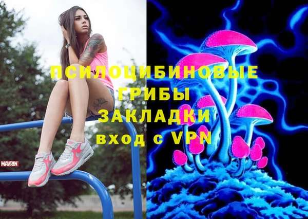 ALPHA PVP Новодвинск