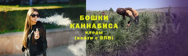 spice Новозыбков