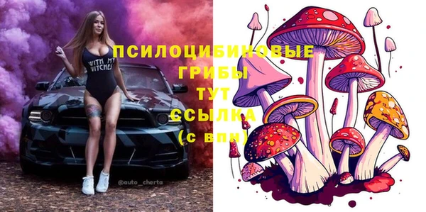 индика Валдай