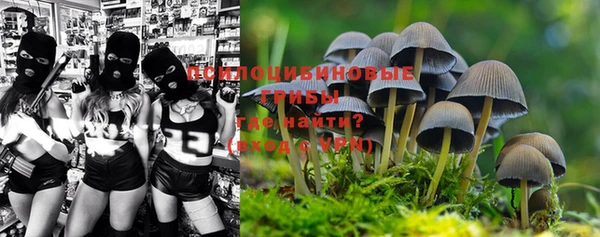 ALPHA PVP Новодвинск