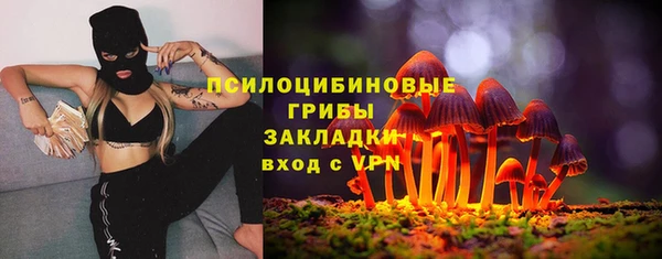 ALPHA-PVP Няндома
