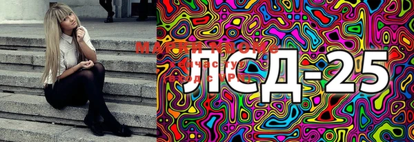 spice Новозыбков
